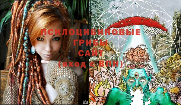 MDMA Premium VHQ Дмитриев