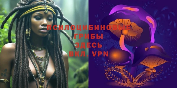 экстази Дмитров