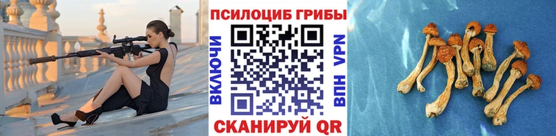 купить закладку  Долгопрудный  Галлюциногенные грибы GOLDEN TEACHER 
